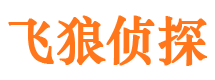 团城山市私家侦探